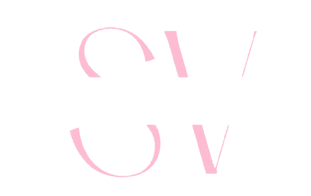 skyn vault logo